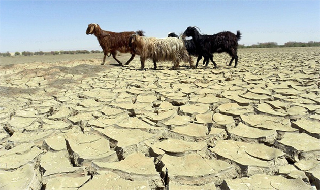 Drought grips large parts of Afghanistan